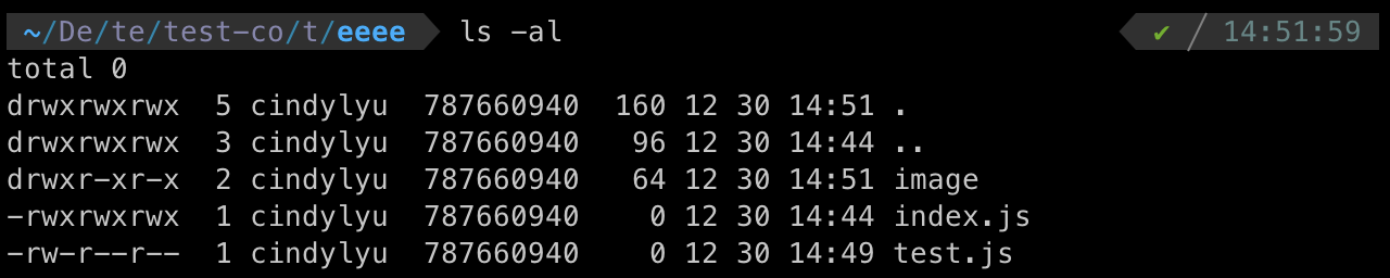 terminal screenshot